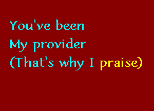 You've been
My provider

(That's why I praise)