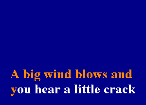 A big wind blows and
you hear a little crack