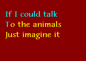 IfI could talk
To the animals

Just imagine it