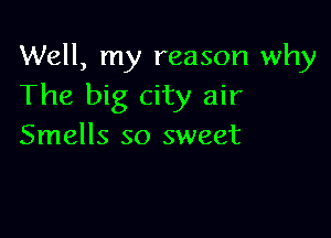 Well, my reason why
The big city air

Smells so sweet
