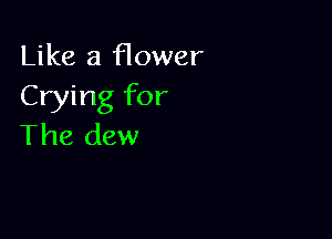 Like a flower
Crying for

The dew