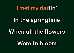 lmet my darlin'

In the springtime

When all the flowers

Were in bloom