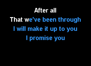 After all
That we've been through
I will make it up to you

I promise you