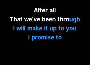 After all
That we've been through
I will make it up to you

I promise to