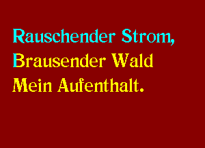 Rauschender Strom,
Brausender Wald

Mein Aufenthalt.