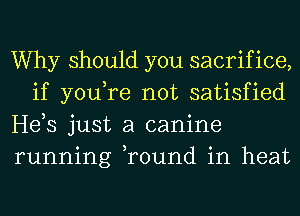 Why should you sacrifice,

if you,re not satisfied
He,s just a canine
o 3 o

runnlng round 1n heat
