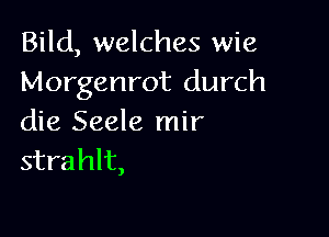 Bild, welches wie
Morgenrot durch

die Seele mir
strahlt,