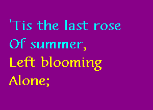 'Tis the last rose
Of summer,

LefT blooming
Along