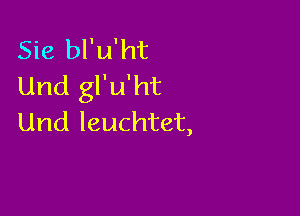 Sie bl'u'ht
Und gl'u'ht

Und leuchtet,