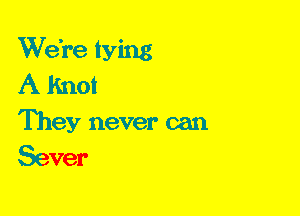 We're tying
A Knot
They never can

Sever