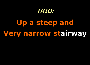 TRIO.'
Up a steep and

Very narrow stairway