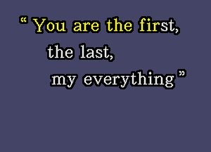 ( You are the first,
the last,

my everything )