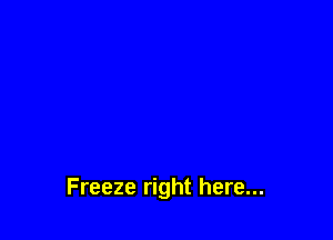 Freeze right here...