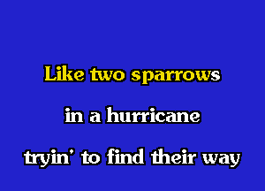 Like two sparrows

in a hurricane

tryin' to find their way