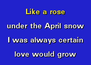 Like a rose

under the April snow

I was always certain

love would grow