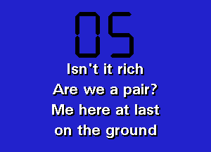 Isn't it rich

Are we a pair?
Me here at last
on the ground