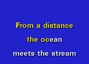 From a distance

the ocean

meets the stream