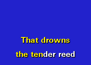 That drowns

the tender reed