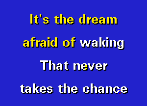 It's the dream

afraid of waking

That never

takes the chance