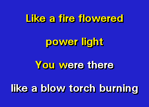 Like a fire flowered
power light

You were there

like a blow torch burning