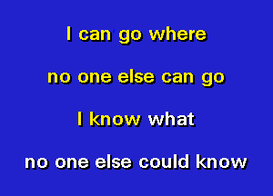 I can go where

no one else can go

I know what

no one else could know