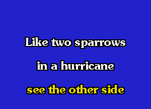 Like two sparrows

in a hurricane

see the other side