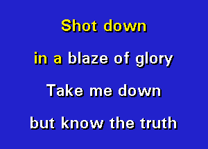 Shot down

in a blaze of glory

Take me down

but know the truth