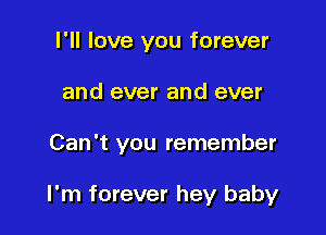 I'll love you forever
and ever and ever

Can't you remember

I 'm forever hey baby