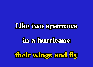 Like two sparrows

in a hurricane

1heir wings and fly