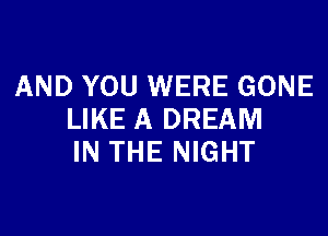 AND YOU WERE GONE

LIKE A DREAM
IN THE NIGHT