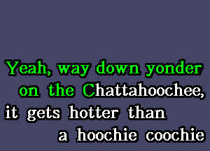 Yeah, way down yonder
0n the Chattahoochee,

it gets hotter than
a hoochie coochie