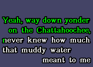 Yeah, way down yonder
0n the Chattahoochee,
never knew how much

that muddy water
meant to me