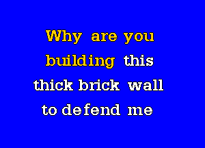 Why are you
building this

thick brick wall
to defend me