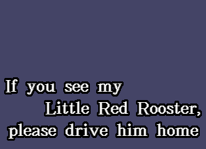 If you see my
Little Red Rooster,
please drive him home