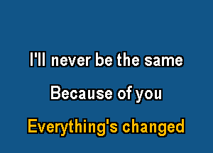 I'll never be the same

Because of you

Everything's changed