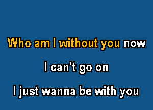 Who am I without you now

I can't go on

ljust wanna be with you