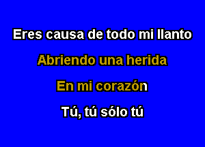 Eres causa de todo mi Ilanto
Abriendo una herida

En mi corazbn

Tl'l, tL'l sblo tl'l