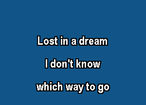 Lost in a dream

I don't know

which way to go