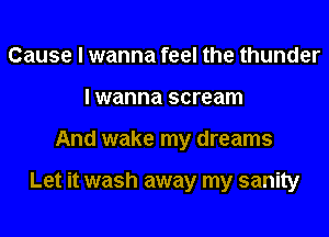 Cause I wanna feel the thunder
I wanna scream
And wake my dreams

Let it wash away my sanity