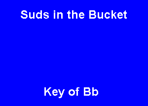 Suds in the Bucket