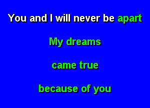 You and I will never be apart
My dreams

came true

because of you