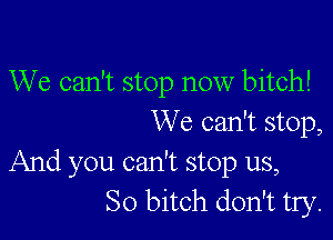 We can't stop now bitch!

We can't stop,

And you can't stop us,
So bitch don't try.