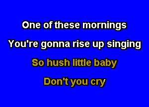 One of these mornings

You're gonna rise up singing

So hush little baby
Don't you cry