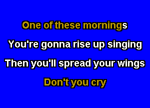 One of these mornings

You're gonna rise up singing

Then you'll spread your wings

Don't you cry