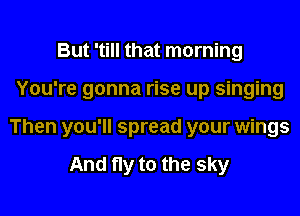 But 'till that morning
You're gonna rise up singing
Then you'll spread your wings

And fly to the sky