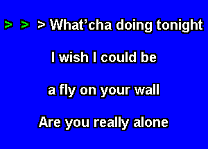 z- ta r) Whafcha doing tonight
I wish I could be

a fly on your wall

Are you really alone