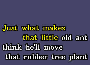 Just What makes
that little old ant
think he,11 move

that rubber tree plant