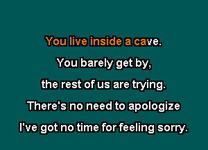 You live inside a cave.
You barely get by,
the rest of us are trying.

There's no need to apologize

I've got no time for feeling sorry.
