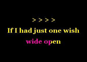 )))

If I hadjust one wish

wide open