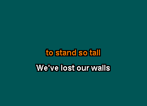 to stand so tall

We've lost our walls